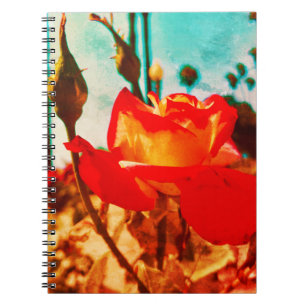 Flower Power Rose Notebook 