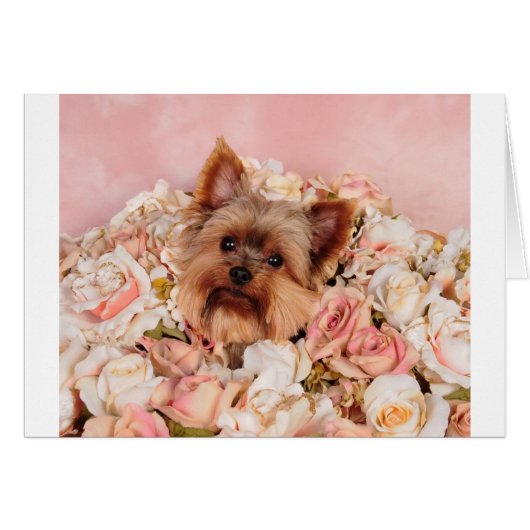 Flower pup cards (Front Horizontal)