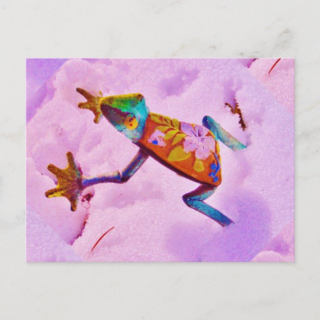 Flower rainbow frog on orchid color snow postcard (Front)