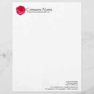 Flower - Red Camelia Letterhead