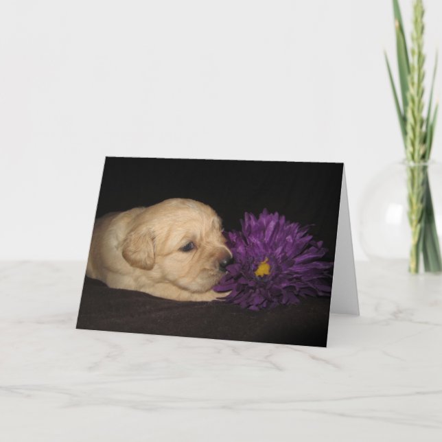 Flower Ruby Card (Front)