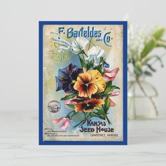 Flower Seed Packs Vintage Art (Standing Front)