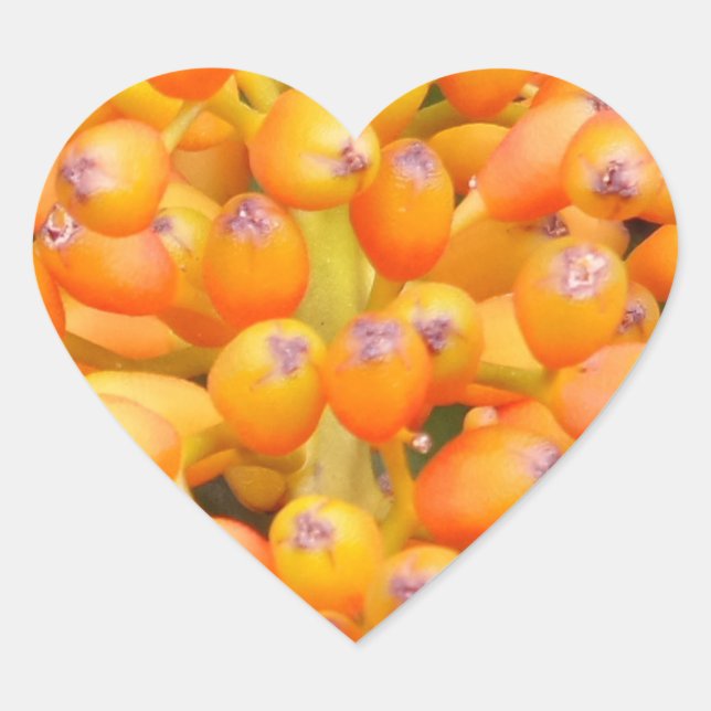 Flower Seeds Heart Sticker (Front)