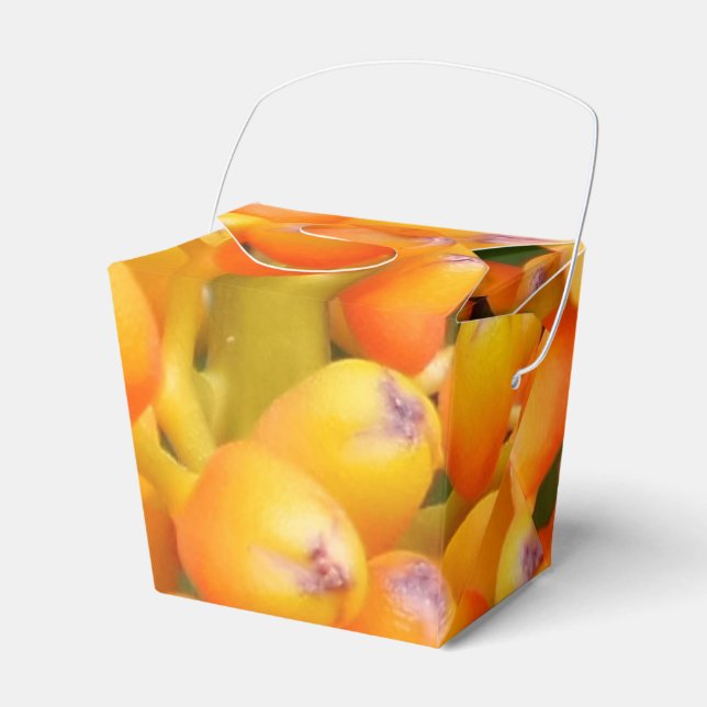 Flower Seeds Take Out Favor Box (Front Side)