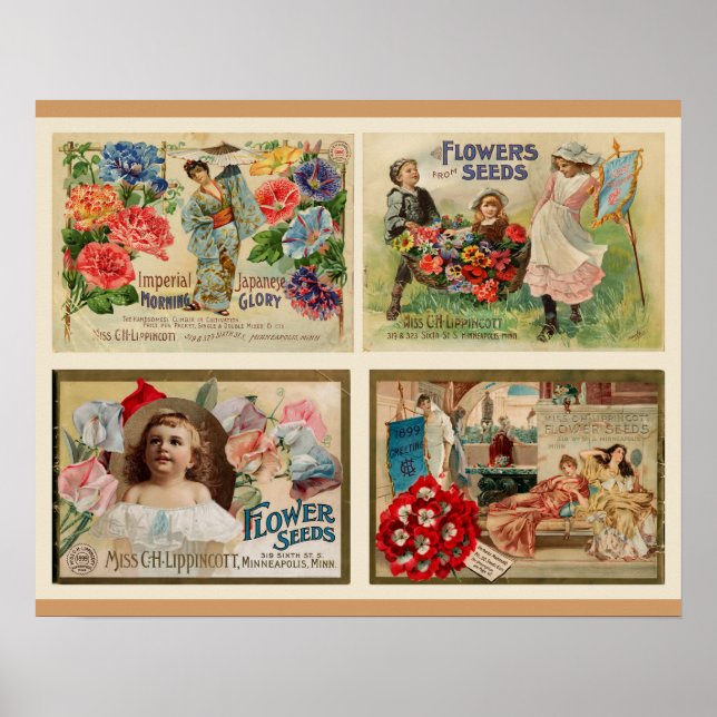 Flower Seeds Vintage Collage Poster (Front)
