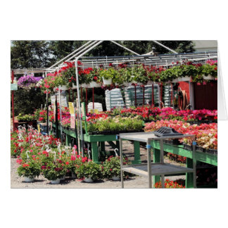 flower shop cards