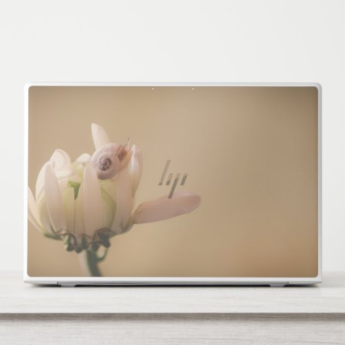 Flower Snail Beige HP Laptop Skin
