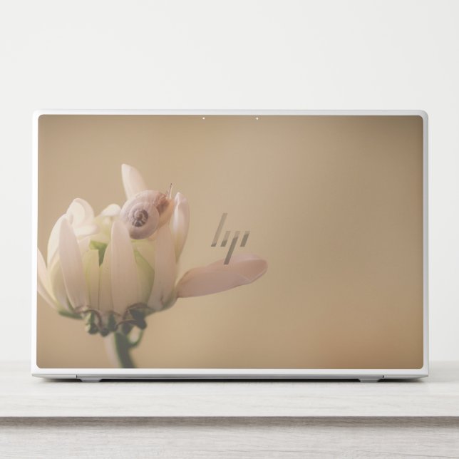 Flower Snail Beige HP Laptop Skin (Front)