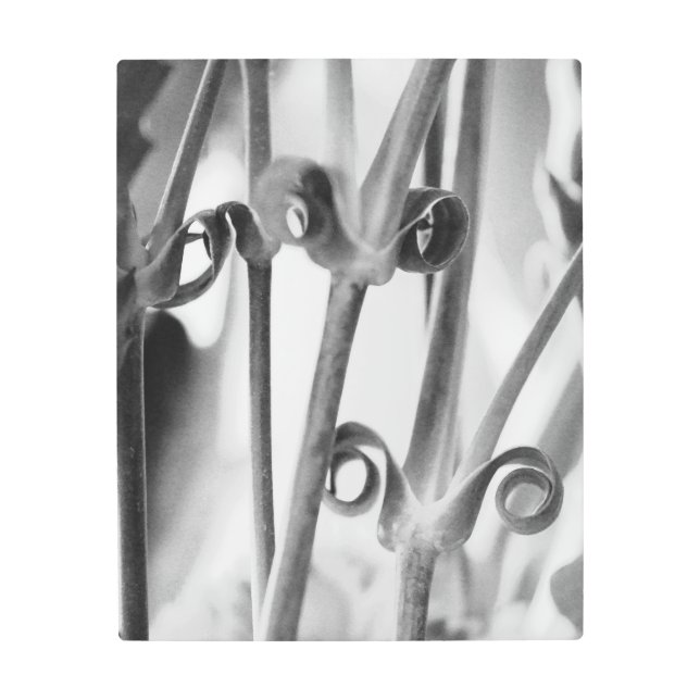 Flower Stems and Leaves Metal Print (Front)