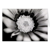 Flower Study (Front Horizontal)