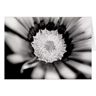 Flower Study Cards