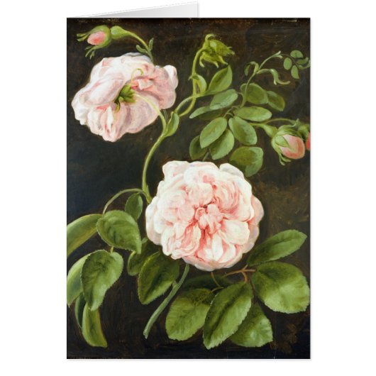 Flower Study Cards (Front)