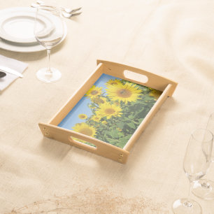 flower, sun, plant, nature, summer, floral, serving tray