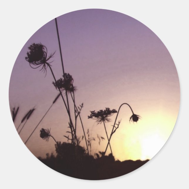 Flower Sunset Stickers (Front)