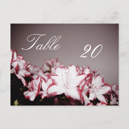 Flower Table Number Postcard