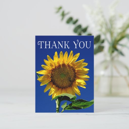 Flower Thank You Yellow Sunflower Floral Postcard | Zazzle