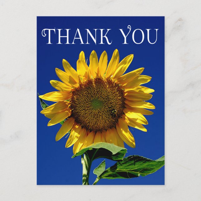 Flower Thank You Yellow Sunflower Floral Postcard (Front)