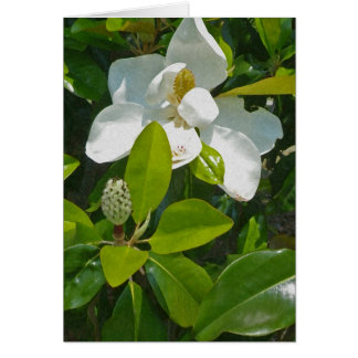 Flower to Fruit Cards