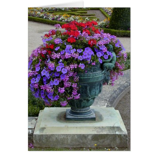 Flower Urn Cards (Front)