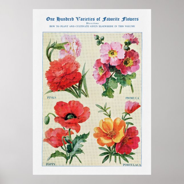 Flower Watercolor 3 Poster (Front)