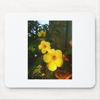 Flower Yellow Cocoa Beach 2014 jGibney The MUSEUM Mouse Pad