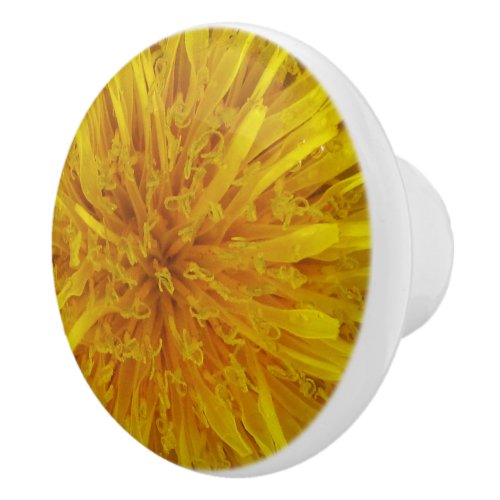 Flower Yellow Dandelion Photo Ceramic Knob