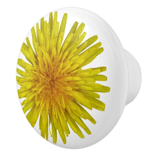 Flower Yellow Dandelion Photo Ceramic Knob