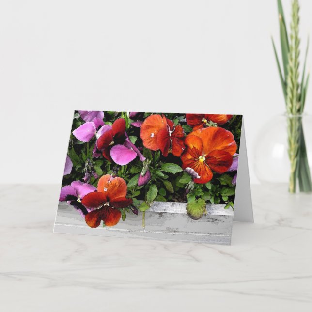 Flowerbox of Pansies Card (Front)