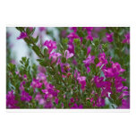 flowerbush invitation