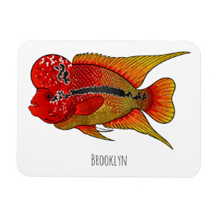 Flowerhorn cichlid fish cartoon illustration magnet