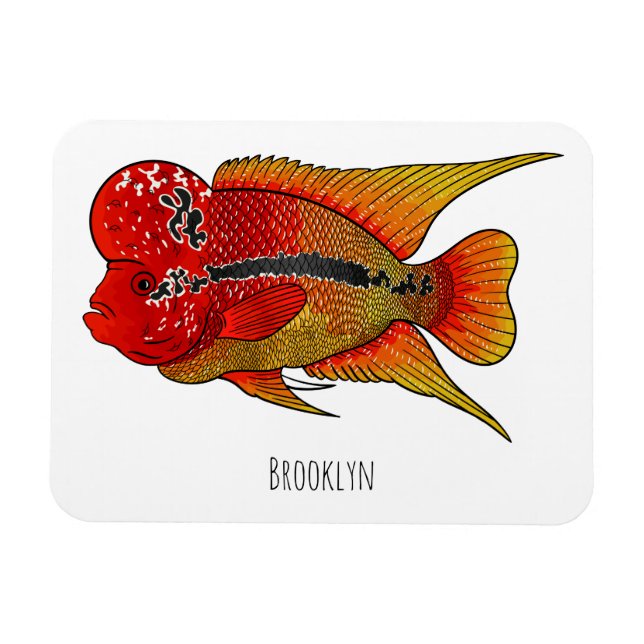 Flowerhorn cichlid fish cartoon illustration magnet (Horizontal)