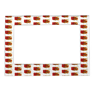 Flowerhorn cichlid fish cartoon illustration magnetic frame