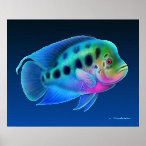 Flowerhorn Cichlid Fish Print