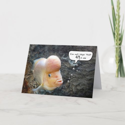 Flowerhorn Fish 49th Birthday Humor   Card