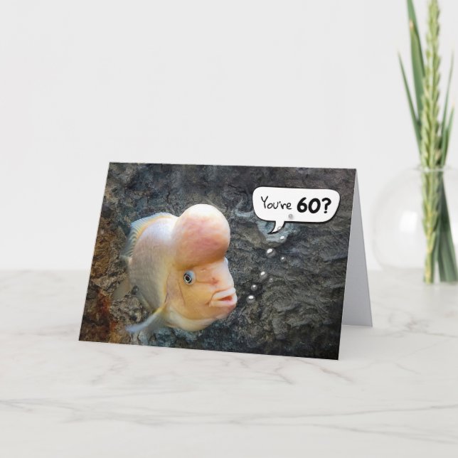 Flowerhorn Fish 60th Birthday Humor Card (Front)