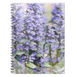 Flowering Ajuga Notebook