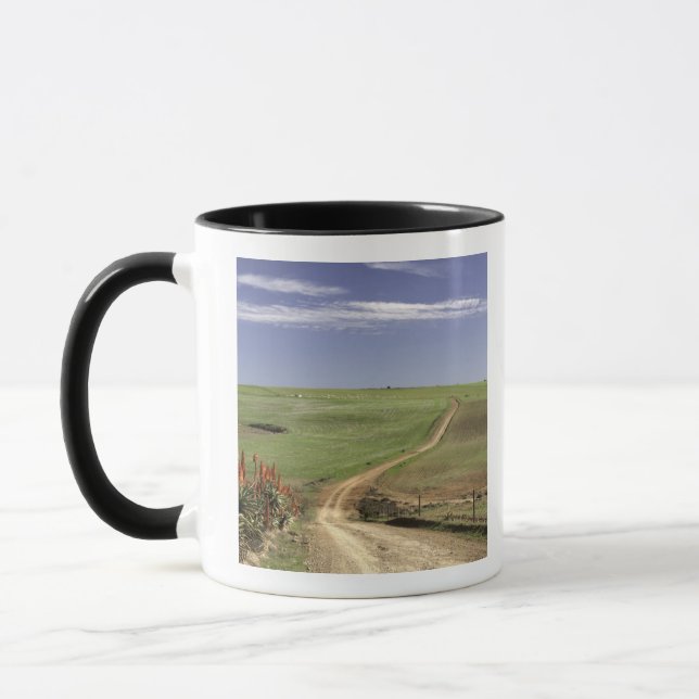 Flowering aloes near Caledon, Western Cape Mug (Left)