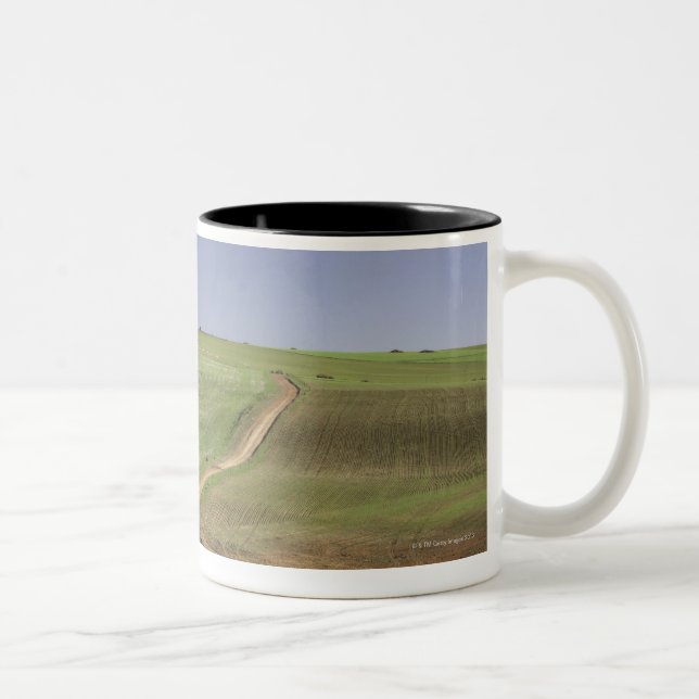 Flowering aloes near Caledon, Western Cape Two-Tone Coffee Mug (Right)