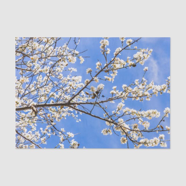flowering branch tissue paper (Front)