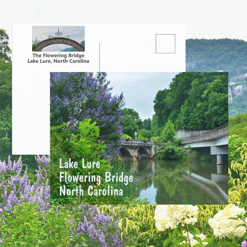 Flowering Bridge Lake Lure North Carolina Photo Postcard