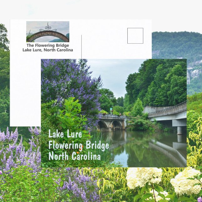 Flowering Bridge Lake Lure North Carolina Photo Postcard (Creator Uploaded)