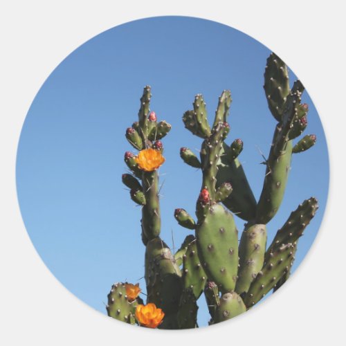 Flowering Cactus prickly pear Opuntia Sticker