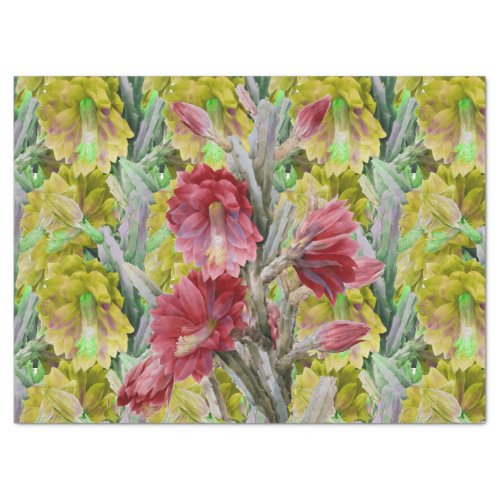 FLOWERING CACTUS RED PINK YELLOW FLOWERS  Floral  Tissue Paper
