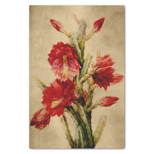 Flowering Cactus Redout Floral Decoupage Tissue Paper