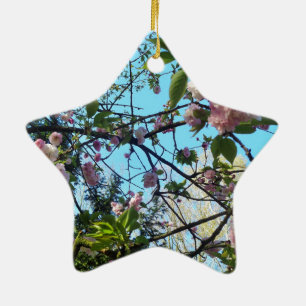 Flowering Cherry, Blossom, Nature, Pink Flower Ceramic Ornament