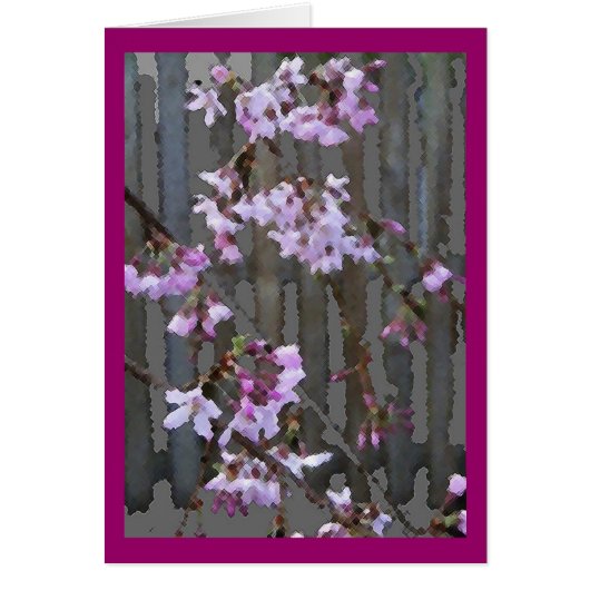 Flowering Cherry Blossoms card (Front)