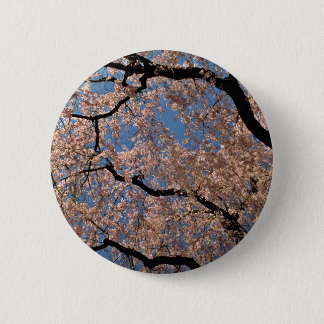 Flowering Cherry tree Pink flowers Pinback Button (Front)
