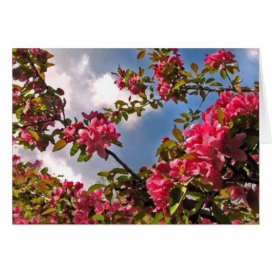 Flowering Crabapple Blossoms Cards (Front Horizontal)