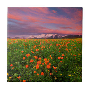 Flowering Globe Flower Ceramic Tile