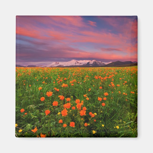 Flowering Globe Flower Magnet (Front)